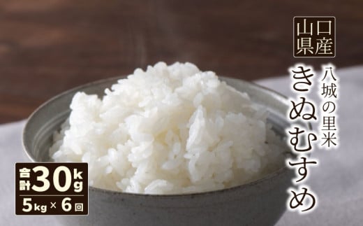【先行予約】【定期便 6ヶ月】きぬむすめ 精米 5kg  計30kg