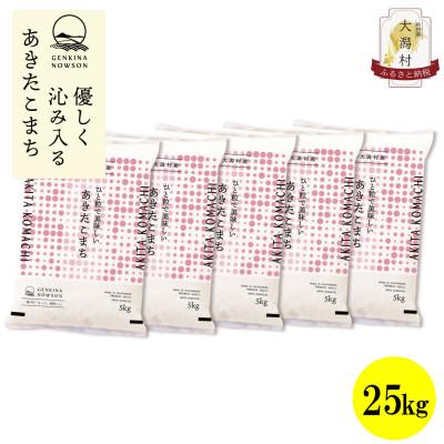 ふるさと納税 大潟村 【毎月定期便】秋田県産あきたこまち白米25kg(5kg×5)全12回