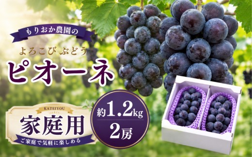 【家庭用】 もりおか農園のよろこびぶどう ピオーネ 約1.2kg 2房 【先行予約 2026年9月上旬から順次発送】