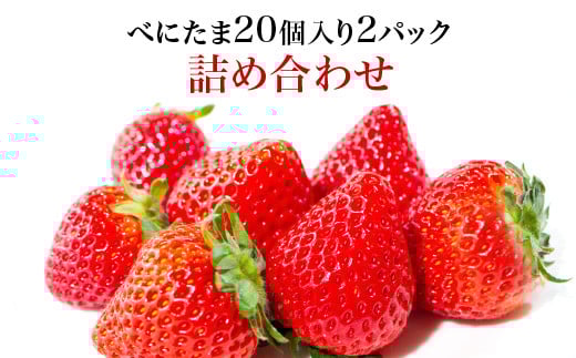 Angelina berrys farm 「べにたま」20粒入り2パック詰合せ　【11218-0878】