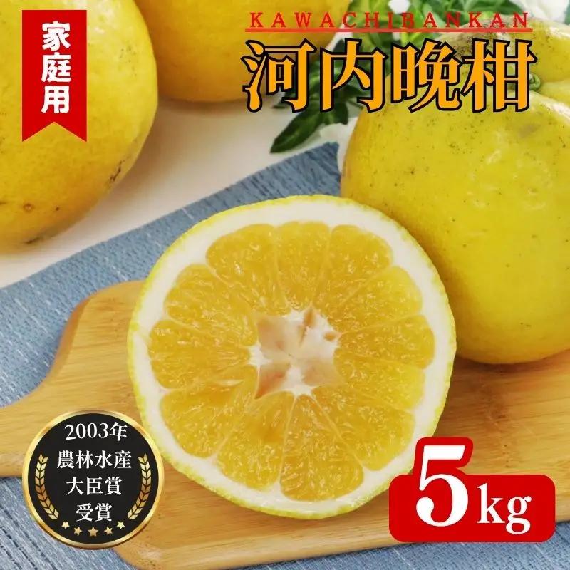 【家庭用】河内晩柑 （愛南ゴールド）5kg 柑橘 みかん 吉本農園 和製 グレープフルーツ ゼリー ジュース アイス 果物 フルーツ ギフト プレゼント 贈答 健康 美容 ビタミン クエン酸 送料無料 愛南町 愛媛県