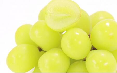 ぶどう 2026年 晴れの国 岡山の シャイン マスカット 晴王 定期便 2回（各1房600g以上） 葡萄 岡山県産 国産 フルーツ 果物 ギフト