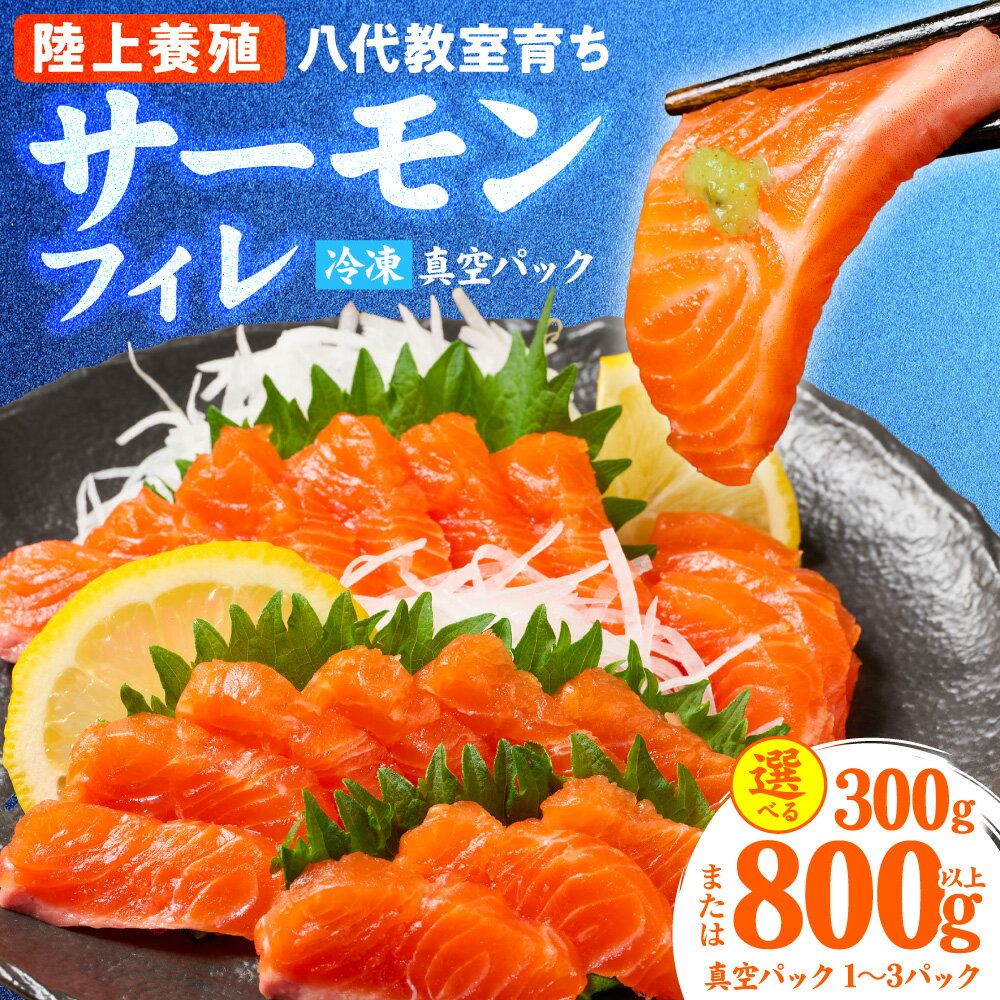 【ふるさと納税】サーモン 八代 教室育ち サーモンフィレ 300g以上 800g以上 【選べる内容量】 国産 陸上養殖サーモン 生サーモン サーモン 刺身 鮭 生食 魚 冷凍 海鮮 さけ サケ シャケ 熊本県 八代市 送料無料