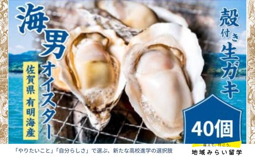 
            海男オイスター殻付き生ガキ40個（カキナイフ付・加熱用）
          