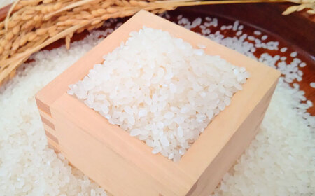 がばいＵ米（うまい）無洗米 5kg / 無洗 国産 九州 / 佐賀県 / 大塚米穀店[41ANAD003]