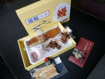 三河一色産 鰻3種バラエティーセット (蒲焼、白焼、肝焼) うなぎ処はちすか H026-029