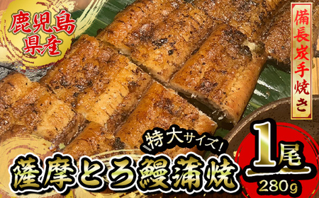 【江口商店監修】薩摩とろ鰻白焼特大サイズ一尾 280g 2519