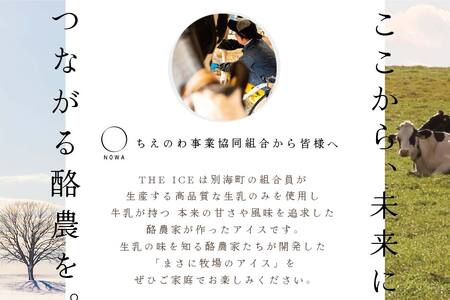 【隔月定期便】 THE ICE 3種詰合せ6個セット×5回定期便  be003-1072-200-5　（ あいす アイス アイスクリーム ミルク ピスタチオ いちご イチゴ 苺 セット 北海道 別海町