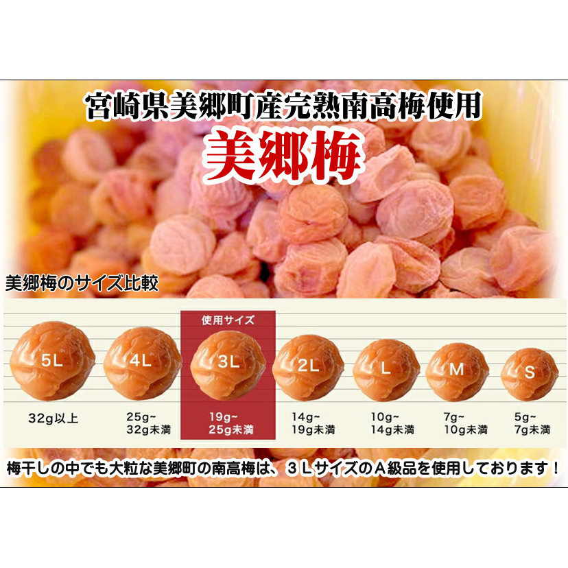 南高梅 梅干し 美郷梅 一粒入り うま味昆布 & シソ風味 各6粒 3Lサイズ A級品 化粧箱入り [農林産物直売所 美郷ノ蔵 宮崎県 美郷町 31ab0101] 国産 セット 詰め合わせ 宮崎県産_