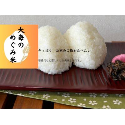 ふるさと納税 村上市 【令和6年産米】精米　新潟県村上市産　コシヒカリ「大毎のめぐみ米」5kg　1093003 |  | 02