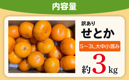 ＜木下さんちのせとか 訳あり 約3kg（S～3L大中小混み）＞ 訳アリ 家庭用 自宅用 柑橘 ミカン みかん 蜜柑 果物 くだもの フルーツ 国産 特産品 木下農園 愛媛県 西予市【常温】『2027年