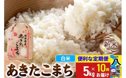 《新米》《定期便10ヶ月》あきたこまち 5kg【白米】 令和8年産 秋田県産 こまちライン [新米 こまちライン あきたこまち ブランド米 お米 白米 精米 無洗米 米どころ 秋田 秋田県産]