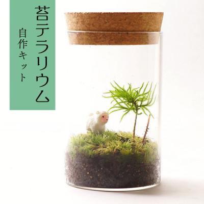 ふるさと納税 平谷村 【南信州平谷村 高原の苔】直径65mm ミニサイズ 苔テラリウム制作キット ミニチュアセット