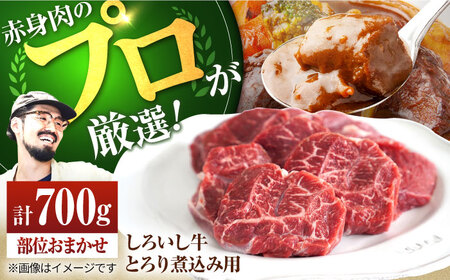 とろり煮込み用 700g / 牛肉 国産牛 和牛  佐賀県 白石町 [IAH009]