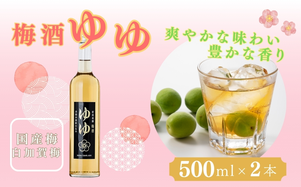 梅酒ゆゆ 梅酒500ml×2本 国産梅 白加賀梅 梅酒 米焼酎 新潟銘醸