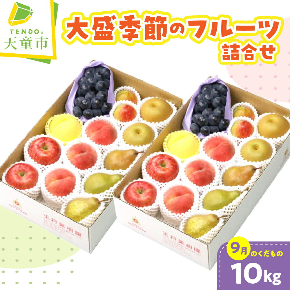 【ふるさと納税】 大盛 季節 の フルーツ 詰合せ ( 9月分 ) 10kg 令和8年産 先行予約 2026年 桃 もも 白桃 黄桃 すもも 西洋梨 洋ナシ 梨 林檎 りんご 大粒 ぶどう 果物 くだもの フルーツ 山形 お取り寄せ 産地直送 送料無料【 山形県 天童市 】