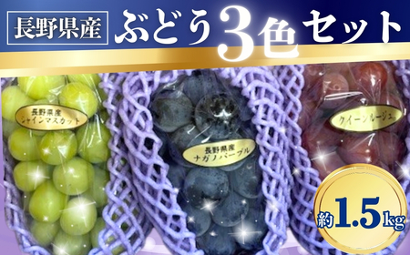【2026年先行予約】ぶどう 3色セット(シャインマスカット/ナガノパープル/クイーンルージュ®) 約1.5kg｜ ぶどう