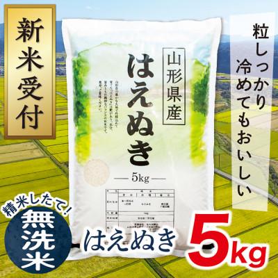 ふるさと納税 最上町 【令和7年産新米受付】山形県産はえぬき5kg(無洗米)