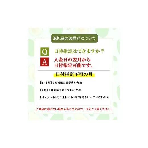 【 野菜定期便 】【 早期予約 】 2026年1月より順次発送 6回 9～10品 奇数月発送 