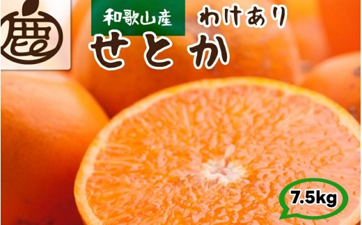 家庭用 せとか 7.5kg+250g（痛み補償分） 光センサー【ikd014-c-7d5C】
