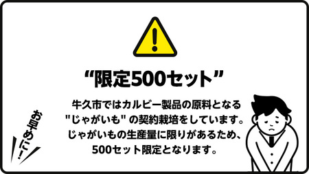 カルビー 堅あげポテト ブラックペッパー 65g × 24袋 ( 2ケース ) ポテチ お菓子 おかし 大量 スナック おつまみ ジャガイモ じゃがいも まとめ買い 数量限定