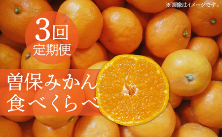 曽保みかん食べくらべ（3回定期便）フルーツ ふるーつ 果物 くだもの 三豊市【配送不可地域：北海道・沖縄県・離島】_M72-0009