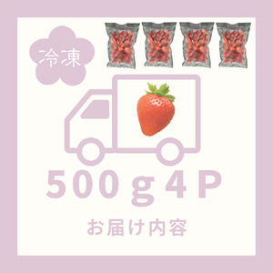 訳あり！太良町産「ゆめのか」冷凍いちご500ｇ×４袋 佐賀県 太良町 NB45