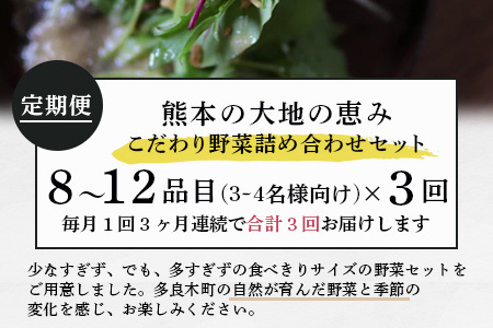 【定期便3回】熊本の大地の恵み 旬の こだわり野菜詰め合わせセット 8〜12品 （3〜4名様向け）3回配送 獲れたて 新鮮 野菜 セット 詰め合わせ 詰合せ 定期便 産地 直送 国産 季節 旬野菜 家