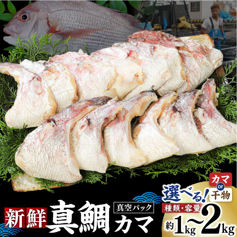 【ふるさと納税】＜選べる種類・容量＞ 新鮮 真鯛 カマ 1kg or 2kg 生 干物 真空パック 鯛 タイ あら 魚 冷凍 羽根 神奈川県 三浦市 おすすめ ランキング プレゼント ギフト