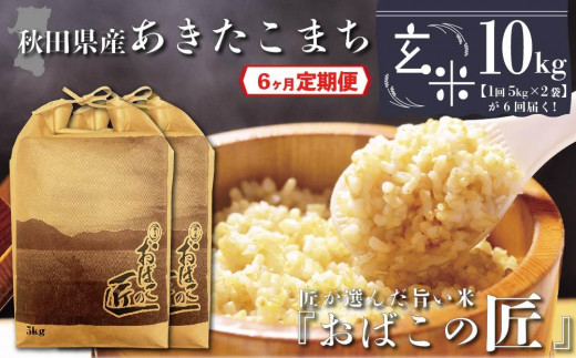 
【６ヶ月定期便】秋田県産おばこの匠あきたこまち　10kg （5kg×2袋）玄米
