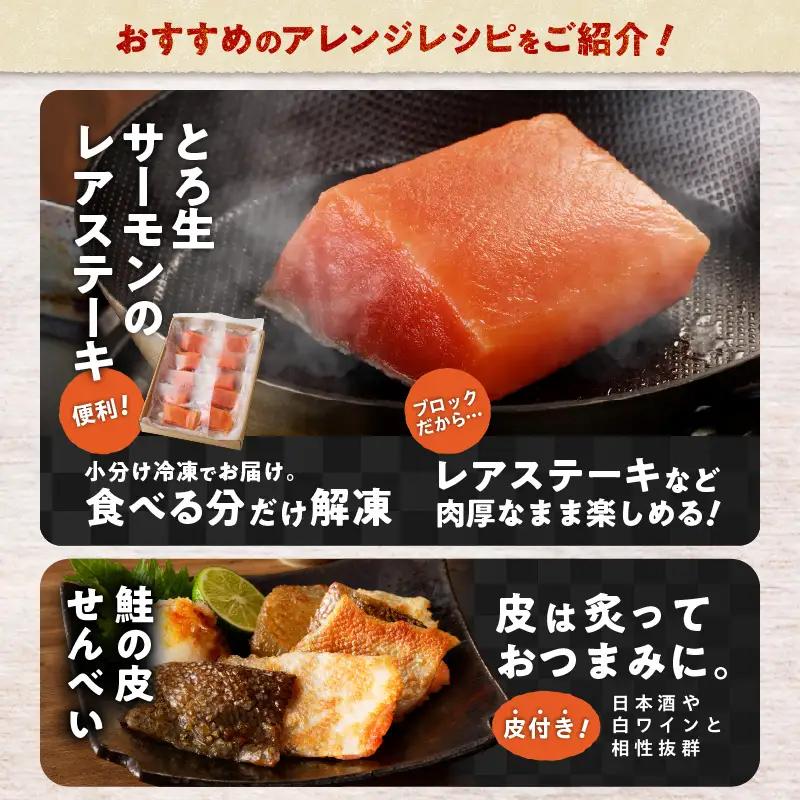 生を超えた「 とろ生サーモン 」 お刺身用ブロック 500g T041-009-02 魚 魚介類