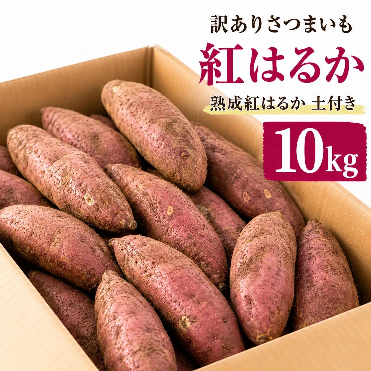 【2026年11月中旬以降発送】【訳あり】佐渡島産さつまいも 紅はるか 10kg 不揃い・傷あり ばん農園