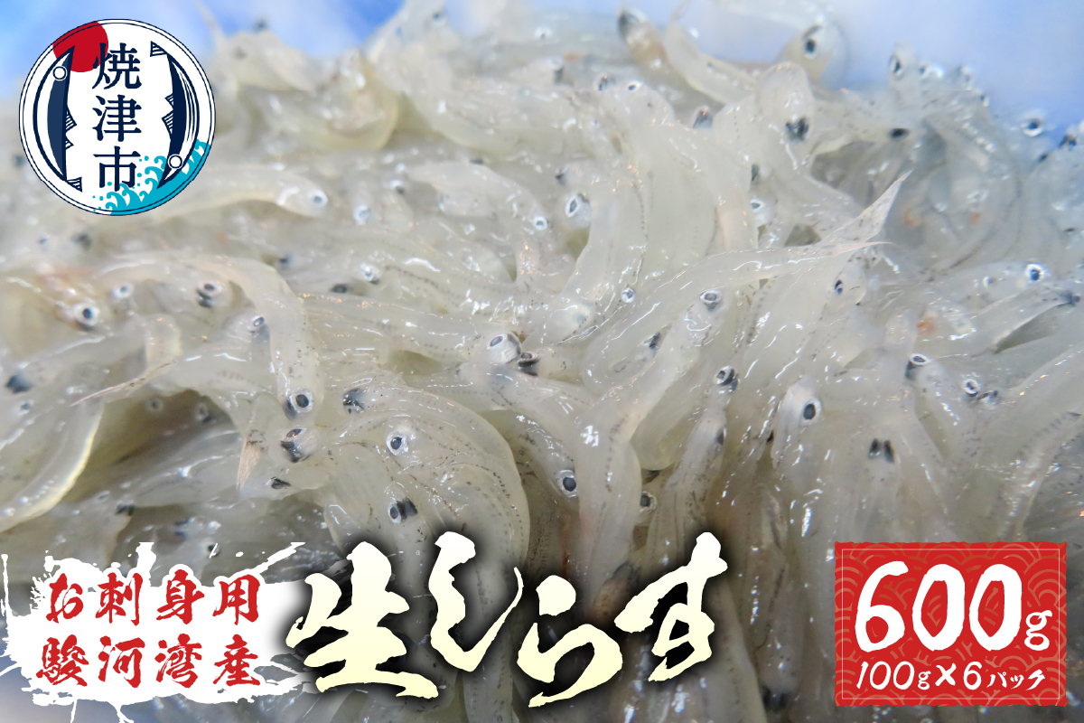 a10-653　お刺身用駿河湾産生しらす600g（100g×6パック）