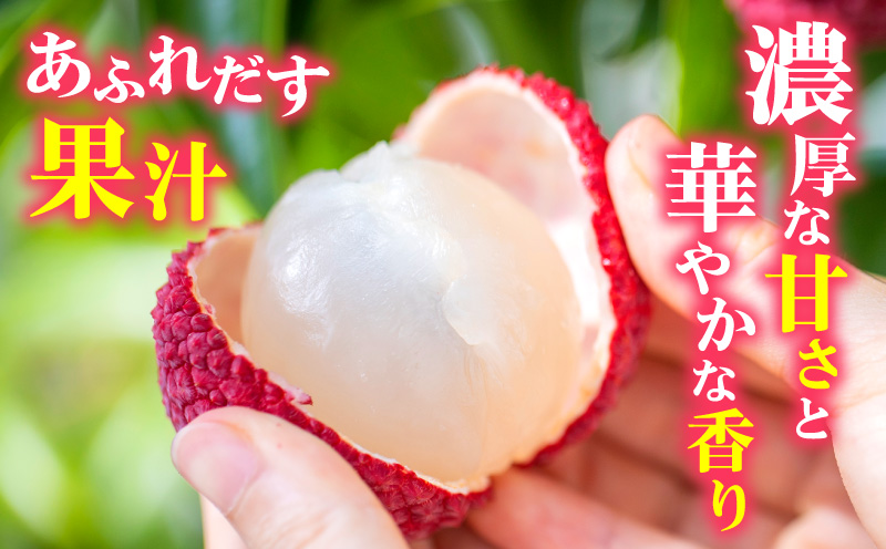 《2026年発送 先行予約》【数量・期間限定】宮崎市産生ライチ 9玉(1玉40g以上) フルーツ 果物 ライチ_M215-003-01