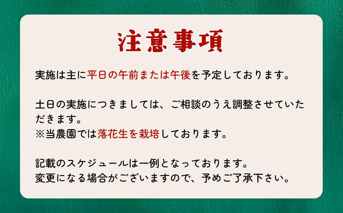 収穫体験チケット（2時間／4名）+お土産野菜付き（野菜持ち帰り）【 農業体験 収穫体験 食育 体験 野菜 農作業 家族 親子 畑 お土産 】