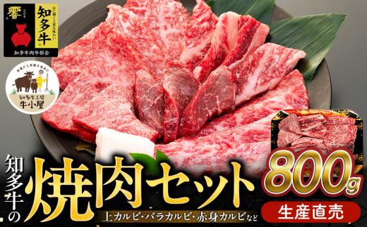 知多牛 響 焼肉セット 800g 上カルビ バラカルビ 赤身カルビ 生産直売 国産 牛肉 焼肉 肉 カルビ 牛 牛肉 焼肉 肉 カルビ 牛 ワイン 焼肉 肉 カルビ 牛 牛丼 牛肉 焼肉 肉 国産牛 カルビ 牛 BBQ 牛肉 焼肉 肉 カルビ 牛 ふるさと納税牛肉 ふるさと納税焼肉 ふるさと納税カルビ 牛肉 焼肉 肉 牛 バーベキュー 愛知県 南知多町 人気 おすすめ