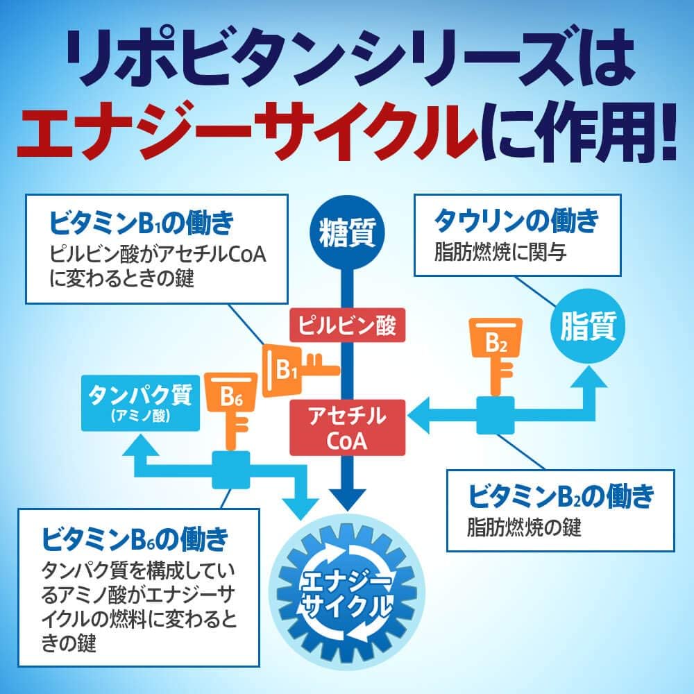 【定期便】３か月連続 リポビタンD 20本