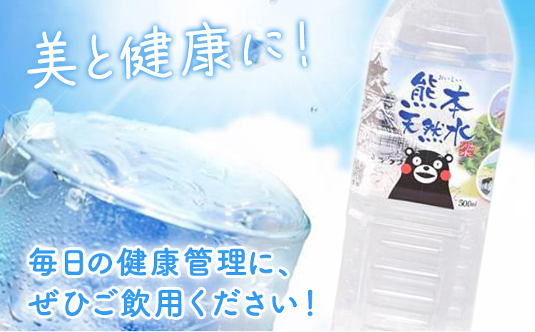 シリカ天然水 500ml×24本 《90日以内に出荷予定(土日祝除く)》 ---159-1874---