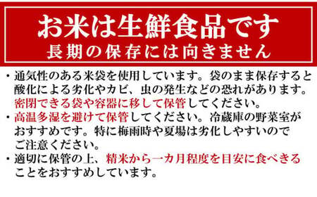【令和7年産米】コシヒカリ 白米 10kg（5kg×2袋） 新潟米 [Y0527]