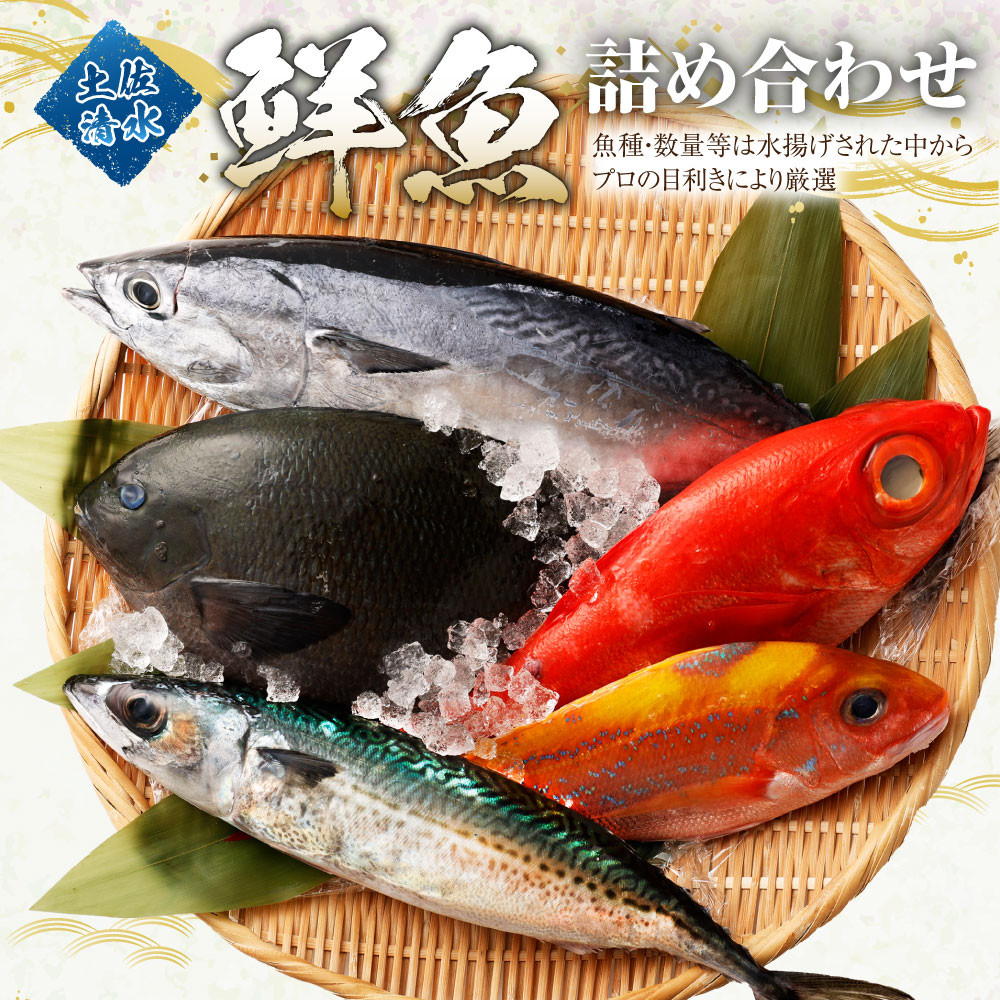 
【10回定期便】季節の鮮魚 おまかせお楽しみセット（20万円ダイヤモンドコース）天然魚 食べ比べ 魚介類 海鮮料理【J00051】
