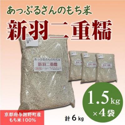 ふるさと納税 与謝野町 【京都府固有種・希少もち米】 新羽二重糯1.5kg×4袋 　冷めてもやわらかい、最高級のもち米