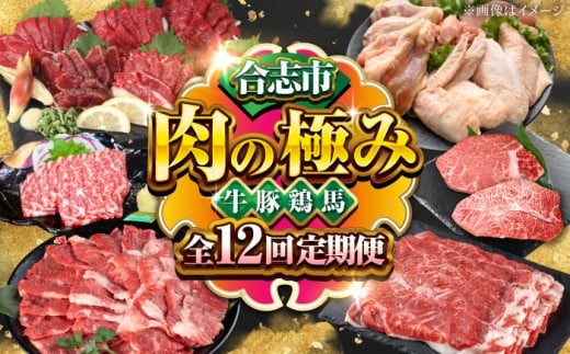 【全12回】合志市 肉の極み 定期便 牛肉 豚肉 馬刺し 鶏肉 黒毛和牛 あか牛 香心ポーク 天草大王 ミスジ ヒレ サーロイン ステーキ ばさし すてーき 合志 熊本 九州 国産 冷凍 牛 豚 馬 鶏 肉 セット 厳選 食べ比べ 定期便 カルビ 焼肉 切落し ミンチ もも むね ササミ 手羽 桜 霜降り 赤身 [AYZZ012]