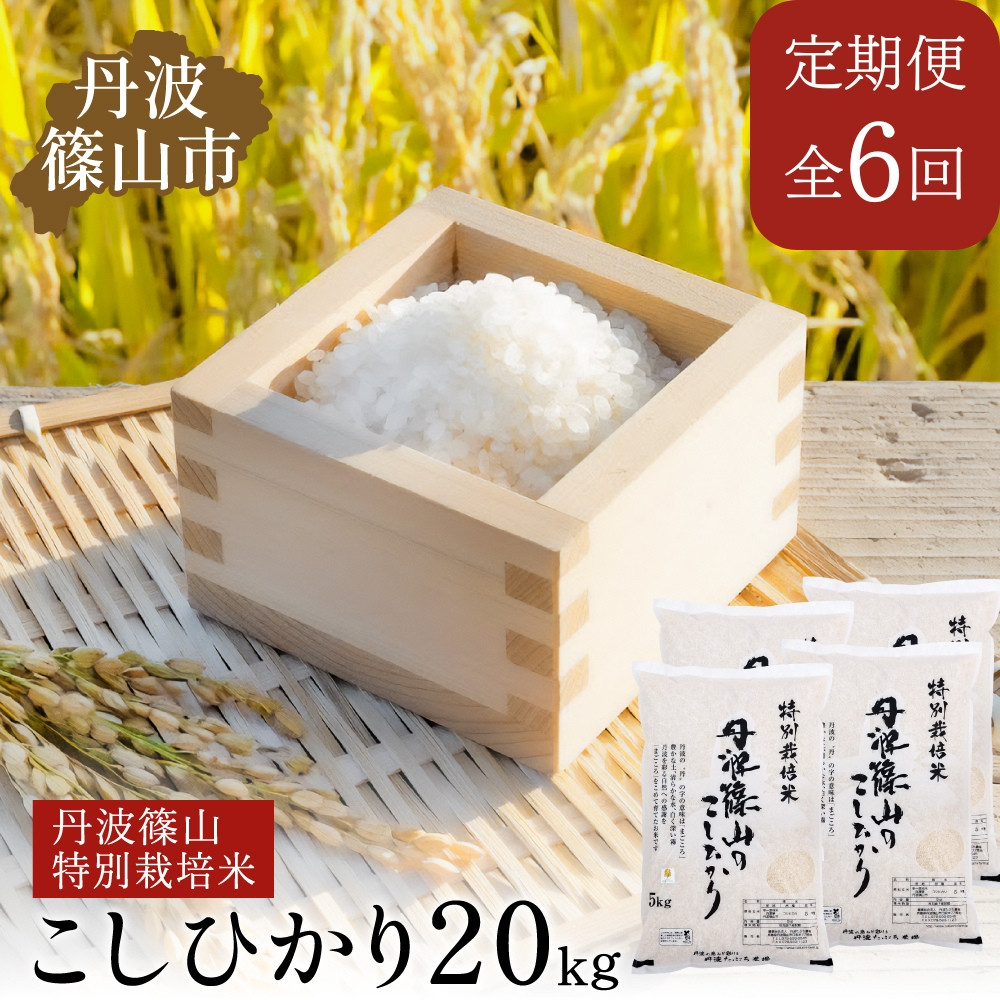 
            【定期便】【新米予約　令和7年産】特Aランク特別栽培米　コシヒカリ　20kg（全6回）　
          