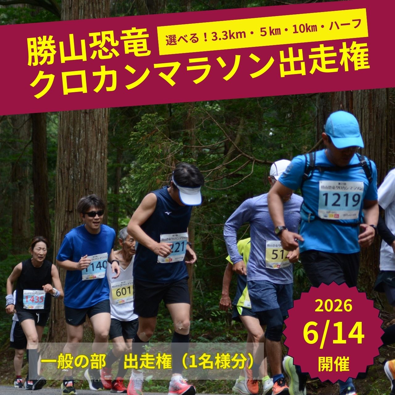 【ふるさと納税】【先行受付】第22回勝山恐竜クロカンマラソン マラソン 一般部門　出走権（1枠　1名）選べる距離 北陸 福井県 勝山市