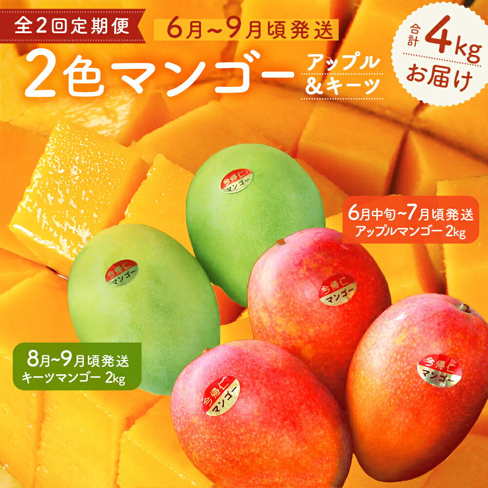 【ふるさと納税】【【定期便】今帰仁2色マンゴー（赤・緑）【先行予約】【2026年　赤：6月中旬～7月頃　緑：8月～9月頃発送】生産者直送