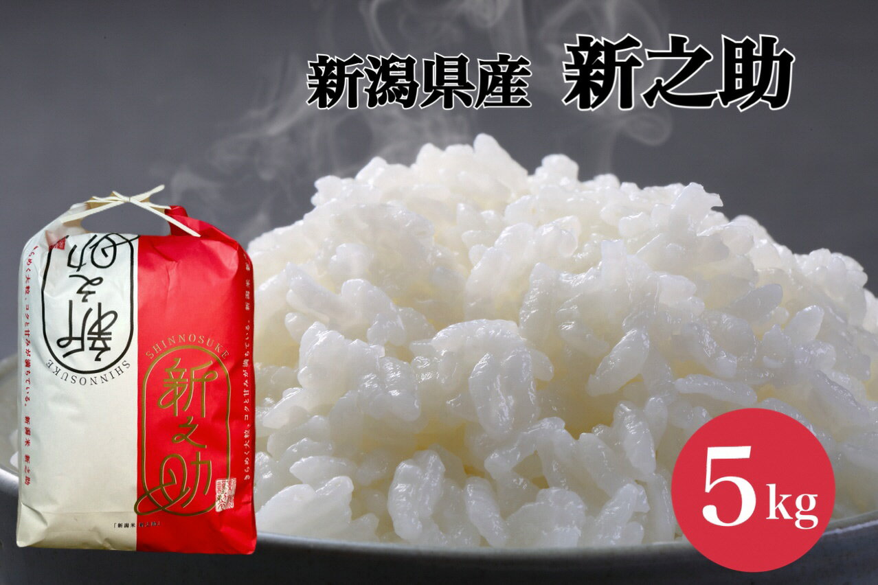 【ふるさと納税】 【令和7年産新米】 新之助5kg 新潟県 阿賀野市 米 白米 精米 コク 甘味 旨味