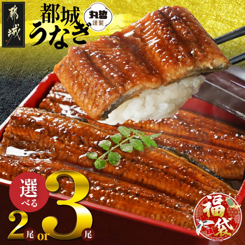 【ふるさと納税】【新春福袋★2026】【内容量が選べる！】宮崎県育ちのうなぎ蒲焼≪山椒・たれ付≫ - 真空パック 選べる内容量 2尾/3尾 個包装 期間限定 福袋 送料無料 SKU-M301-F2026 【宮崎県都城市】