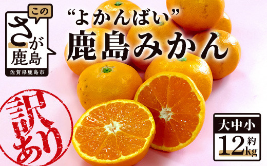 
            【訳あり】【数量限定】よかんばい 鹿島産 みかん 12kg 大中小 サイズ別 【11月中旬より順次配送予定】 ふるさと納税 みかん 蜜柑 柑橘 果物 フルーツ 果実 国産 佐賀県 鹿島市 ふるさと 人気 送料無料 B-250
          