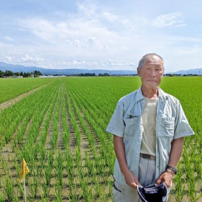 ふるさと納税 鶴岡市 鶴岡 I 型特別栽培つや姫　白米5kg |  | 01