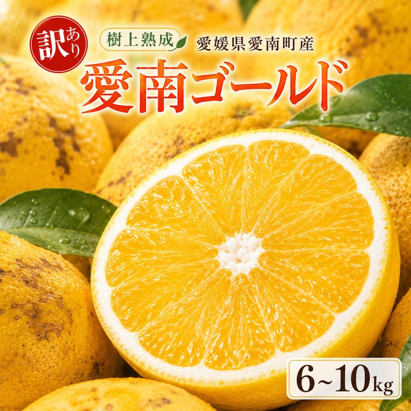 【ふるさと納税】 木成り 追熟 訳あり 愛南ゴールド 河内晩柑 約6kg 10kg 柑橘 フルーツ 果物 蜜柑 みかん くだもの mikan 家庭用 傷 不揃い サイズミックス かわち ばんかん かんきつ 和製 グレープフルーツ デザート 甘い ジューシー 農園 エニシトラス 愛媛県 愛南町